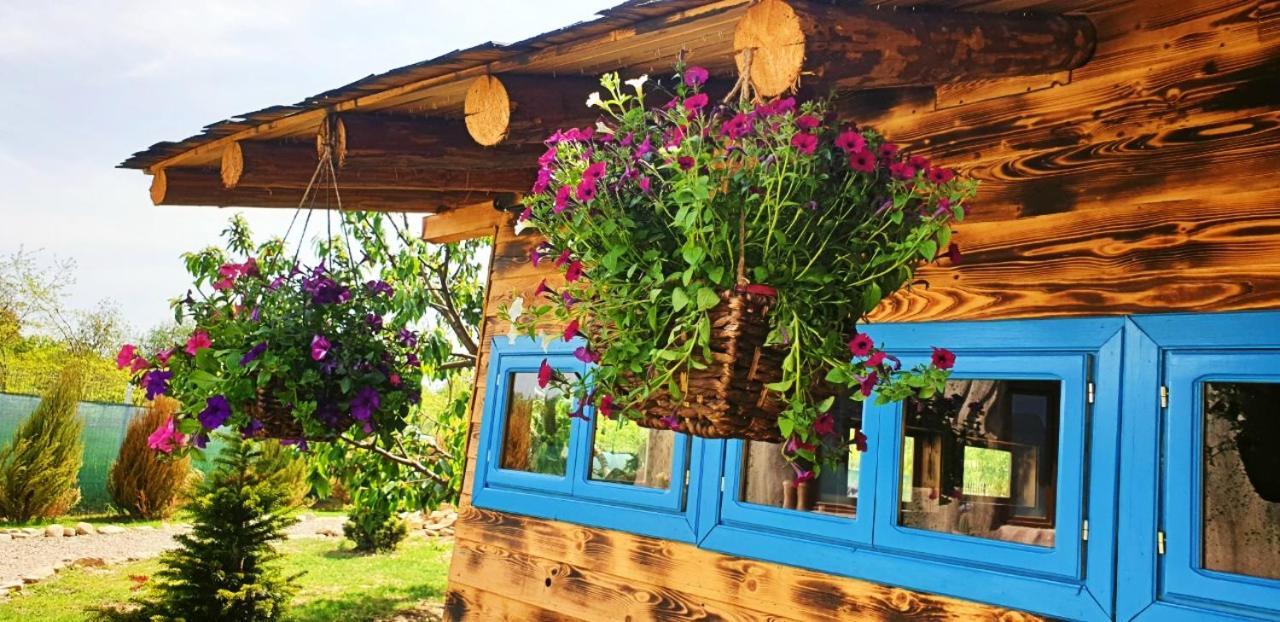 Valea Celor Doisprezece Resort
